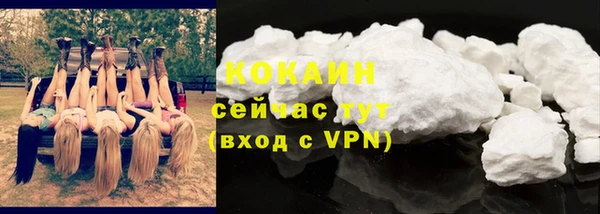 сатива Богородицк
