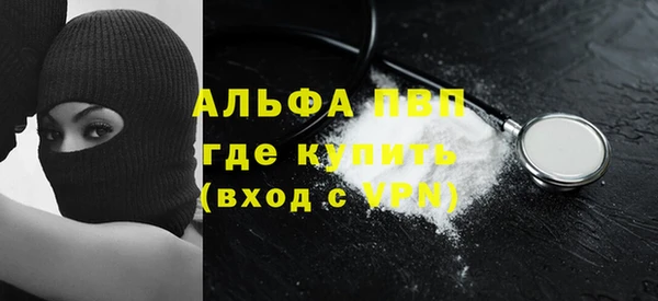 сатива Богородицк