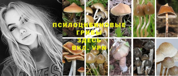 а пвп мука Богданович