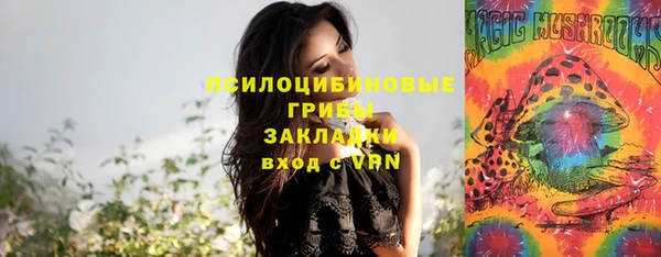 сатива Богородицк