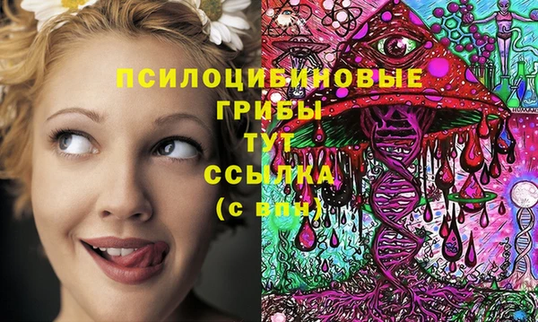 а пвп мука Богданович