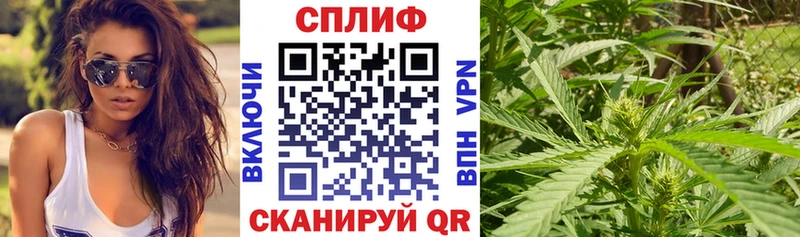 мега вход Обь Конопля индика